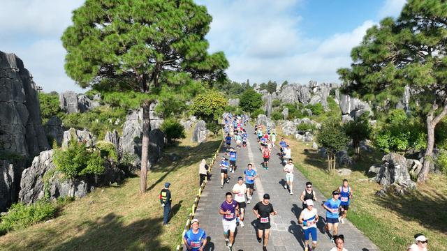 在云南这片 在云南这片